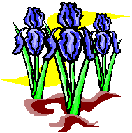 blumen